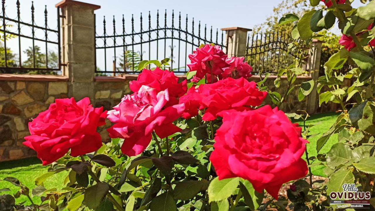 Arode Villa Ovidius Balchik Ngoại thất bức ảnh
